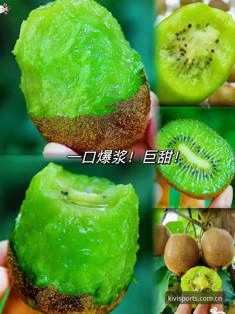 奇异果体育平台下载对比分析：官方App vs 第三方渠道，哪个更靠谱？