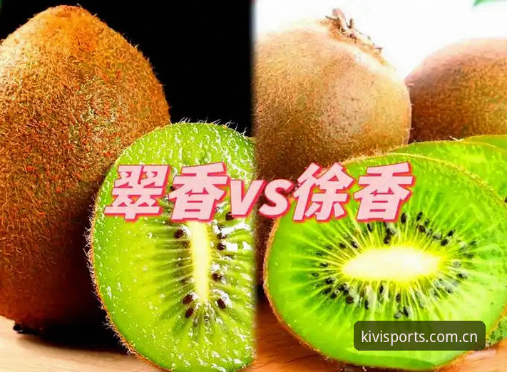奇异果体育官方正版常见问题完整指南：从下载安装到高清观赛全解析